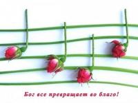 Кто, если не мы?
