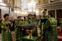 В канун праздника Входа Господня в Иерусалим митрополит Владимир совершил всенощное бдение в Спасо-Преображенском кафедральном соборе