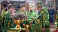 Правящий архиерей освятил вербу во время вечерней службы в главном соборе края