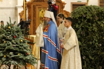 IMG_3961.JPG