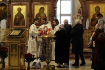 IMG_5384.JPG