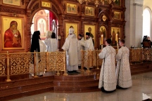 IMG_4350.JPG