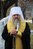 IMG_3510.JPG