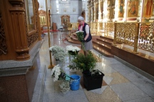IMG_8336.JPG