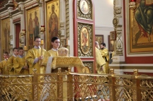 IMG_9558.JPG