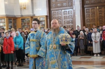 IMG_7940.JPG