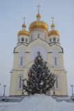 IMG_3310.JPG