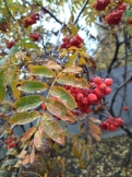 9e1de664-19a7-4ebb-bd9d-86f7dcaa77d4.jpg