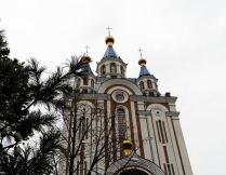 DSC05347.jpg