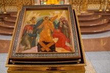 IMG_8639.jpg