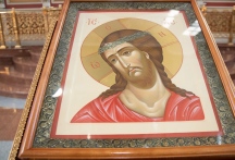 IMG_7785.jpg