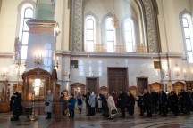 IMG_7932.jpg