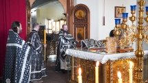 DSC04771.jpg