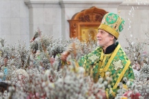 Вербное воскресение в Спасо-Преображенском кафедральном соборе. 5 апреля 2015 г.