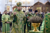 Всенощное бдение в канун праздника Входа Господня в Иерусалим в Спасо-Преображенском кафедральном соборе 31 марта 2018 г.