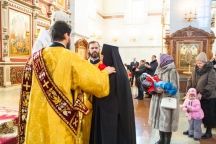07917.jpg