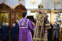 IVO_8613.JPG