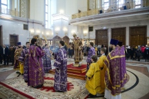 IVO_8618.JPG