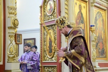 IVO_8624.JPG