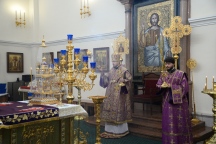 IVO_7381.JPG