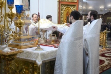 IVO_7442.JPG