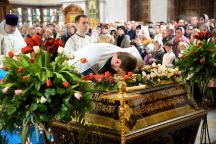 IVO_7754.JPG
