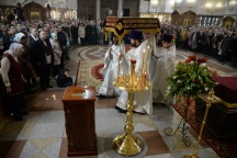 IVO_7804.JPG