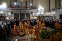 IVO_8234.JPG