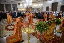 IVO_8236.JPG