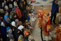 IVO_8385.JPG