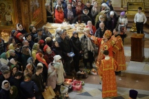 IVO_8393.JPG