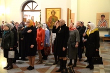IVO_9115.JPG