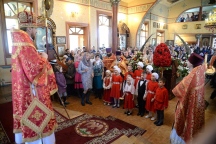 IVO_0225.JPG