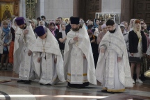 IVO_8885.JPG