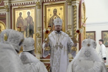 IVO_8917.JPG