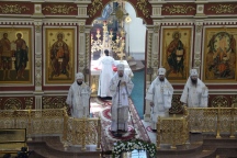 IVO_9081.JPG