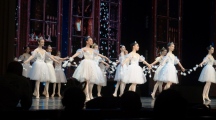 DSC02149.jpg