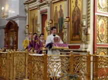 IMG_9845.JPG