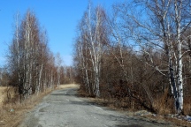 IMG_0801.JPG