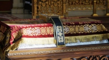 DSC07202.jpg