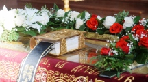 DSC07214.jpg