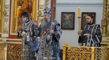 DSC07303.jpg