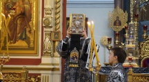 DSC07611.jpg
