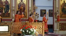 DSC08330.jpg