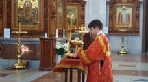 DSC08409.jpg
