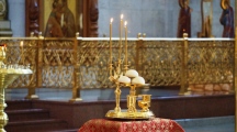 DSC08432.jpg