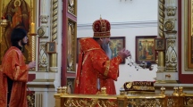 DSC08589.jpg