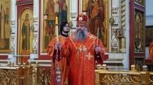 DSC08600.jpg