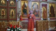 DSC08714.jpg