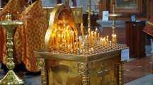 DSC09050.jpg
